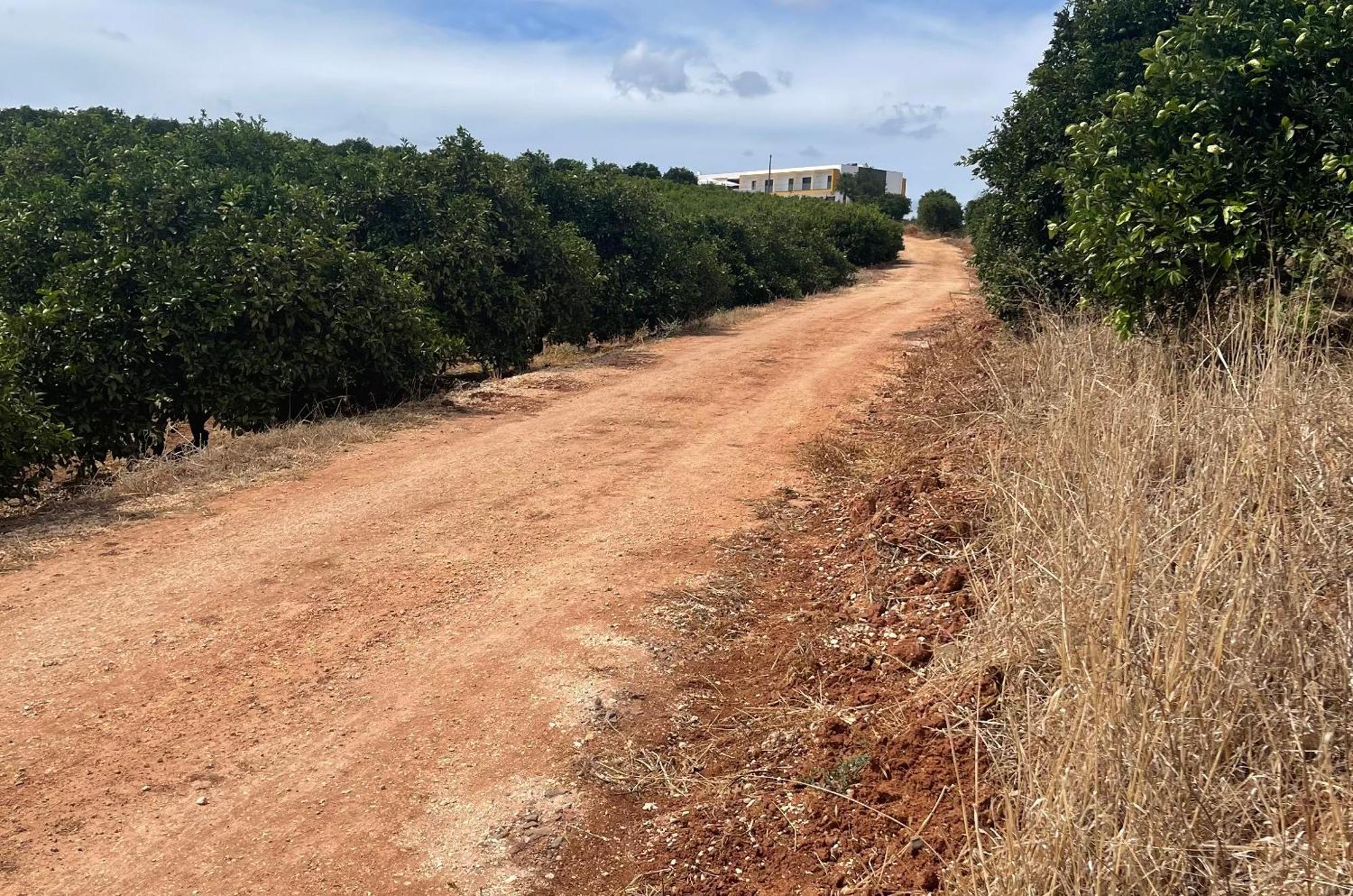 Orange Grove Residence Silves Εξωτερικό φωτογραφία