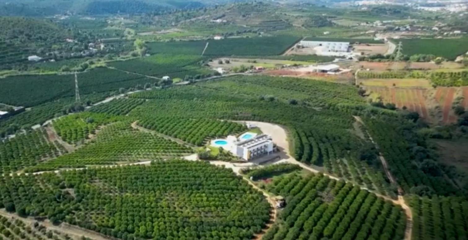 Orange Grove Residence Silves Εξωτερικό φωτογραφία